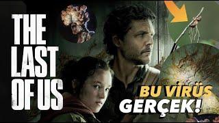 Yeni Favorimiz THE LAST OF US: Zombi Türleri ve Korkunç Gerçekler!