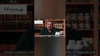 Для чего вообще нужны биостимуляторы? #биостимуляторы #заморозки #сад #дача #удобрения  #рассада