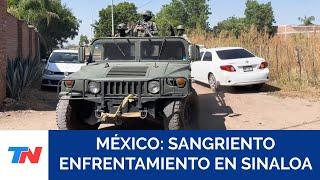 VIOLENCIA EN MÉXICO: El ejército mexicano abatió a 19 "agresores" en el violento estado de Sinaloa