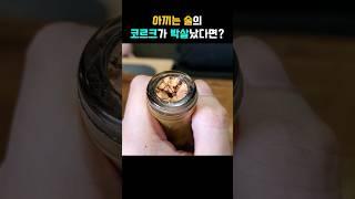 부러진 코르크 빼는 방법