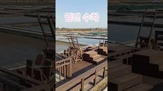 염전 수차