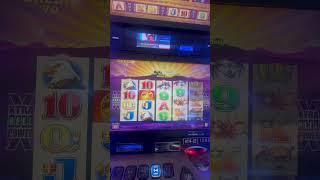 Buffalo Slots 🪙 Bonus Video #buffaloslot #casino #slotmachinebonus