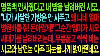 【사연열차①】명품백 안사줬다고 내 뺨을 날리는 시모.."내 가방은 안사주고 왜 니네 엄마 병원비를 줘! 돈아깝게!!"그순간 엄마가 시모싸대기를 날려버리는데..참교육 합니다#실화사연