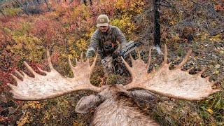 ALASKAN MOOSE WITH THE BOW (My Dream Hunt)