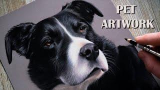 Pet Artwork Drawing // COLOR PASTEL TECHNIQUE - Shaymus Art