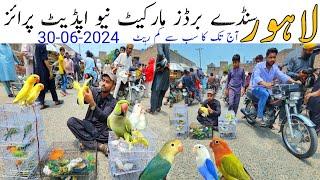 Lahore sunday birds market Road pr A gai | Bohat Kam Kimat Wale Birds A gay Le Jao