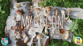 Nurturing Nature: The Mushroom Project | MYCOCON