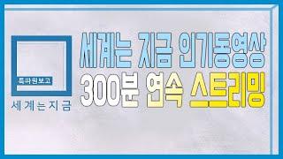 [특파원보고 세계는지금] 300회 특집 인기동영상 300분 스트리밍