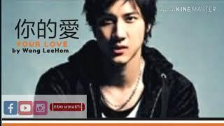 WANG LEEHOM - NI DE AI