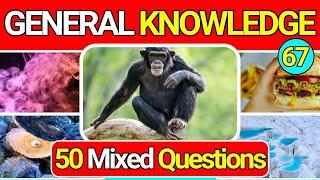 General Knowledge Quiz Trivia 67 | Can You Answer All 50 Questions Correctly? 2024