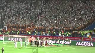 l’Algérie ont célébré  - Viking clap by the Algerian team at Cairo stadium