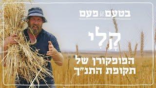 איך הכינו פופקורן בתקופת התנ"ך?  בטעם של פעם: קלי