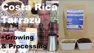 Coffee 4 - Costa Rican Tarrazu & Coffee Growing and Processing