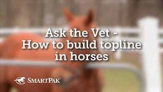 Ask the Vet - How to build topline in horses