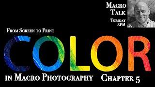 Color in Macro Chapter 5  - Macro Talk #124 -  AWPhotography 12/31/24