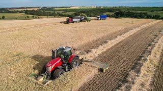 GPS Triticale mähen und häckseln / Massey Ferguson / Krone / John Deere [4K]