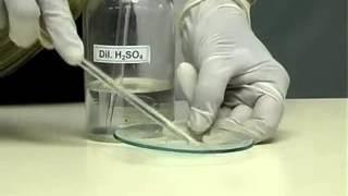 12.  MgO and Sulphuric acid - Acids, Bases and Salts