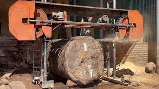 CREATE The World's Most Unique Tables From A Giant Tree In Just 72 Hours