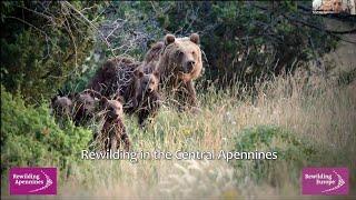 Rewilding: the practice in Europe and in the Central Apennines of Italy