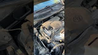 Camry VVTi rattle on cold start