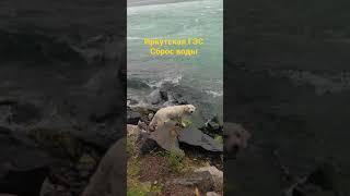 Сброс воды на ГЭС