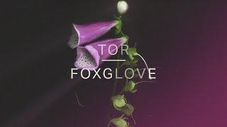 Tor - Foxglove (Official Audio)