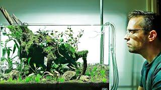 How to aquascape a Nature Aquarium - ADA 60P