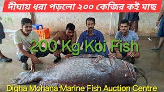 দীঘা মোহনা মৎস্য নিলাম কেন্দ্র  Today Digha Mohana Auction Centre Live 