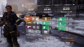 Best DPS Build For Division 1 PVP