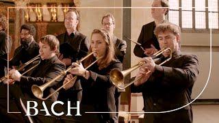 Bach - Cantata Gott, man lobet dich in der Stille BWV 120 - Van Veldhoven | Netherlands Bach Society
