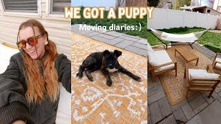 Adopting a puppy + backyard set up // moving diaries