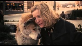 The most emotional scene in Hachiko: A Dog's Story