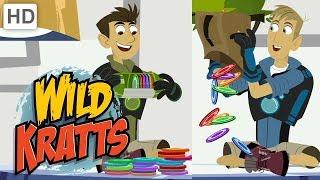 Wild Kratts  All New Creature Adventures! | Kids Videos