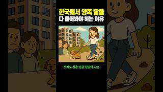한국에서 '양쪽 말'을 다 들어봐야 하는 이유...ㄷㄷ