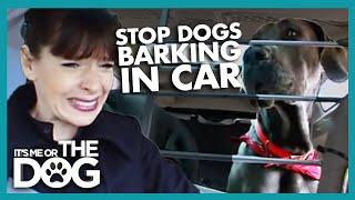 How to Stop Your Dog Barking in the Car  | It's Me or the Dog