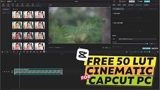 Free 50 Cinematic LUT For Capcut PC || Color Grading For Capcut PC