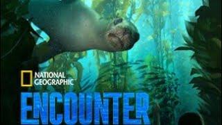 National Geographic Encounter Ocean Odyssey; Breathtaking Underwater Journey! Most Appreciated Video