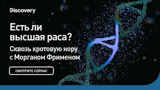 Есть ли высшая раса? | Сквозь кротовую нору с Морганом Фрименом | Discovery