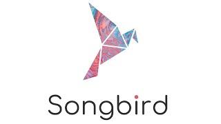 Songbird (SGB), Wrapped Songbird (WSGB), Delegation and the Bifrost Wallet.