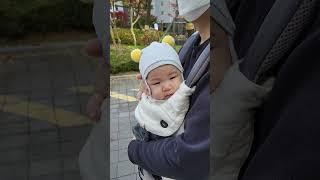 태어난지 5개월28일-아빠랑 산책