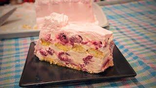 A quick cake with raspberries and ladyfingers