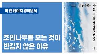 피난하는 자연: 기후변화 시대 생명들의 피난 일지 / 조팝나무를 보는 것이 반갑지 않은 이유