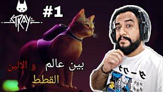 Stray Walkthrough #1 PS5 تختيم لعبة القطه ستراي