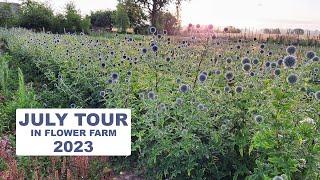 July Tour in Flower Farm 2023