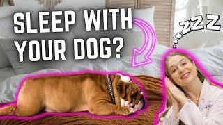 Should Dogs sleep in the Crate vs Your Bed at night? | Dr. Lindsay Vet explains