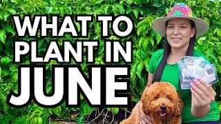June Garden Guide: Veggies, Herbs & Flowers to Plant Now