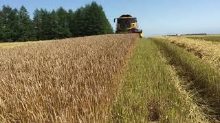 スマート農業はここから始まる⁉️コンバインでデータを収穫、RTK自動操舵。