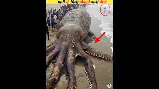 The rarest sea creatures you have never seen #viral