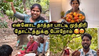 என்னோட தாத்தா பாட்டி முந்திரி தோட்டத்துக்கு போறோம்  | Sangeetha Vinoth | #tamilvlog