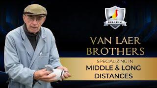 RACING PIGEON LOFT TOUR OF VAN LAER BROTHERS-BELGIUM (2022)